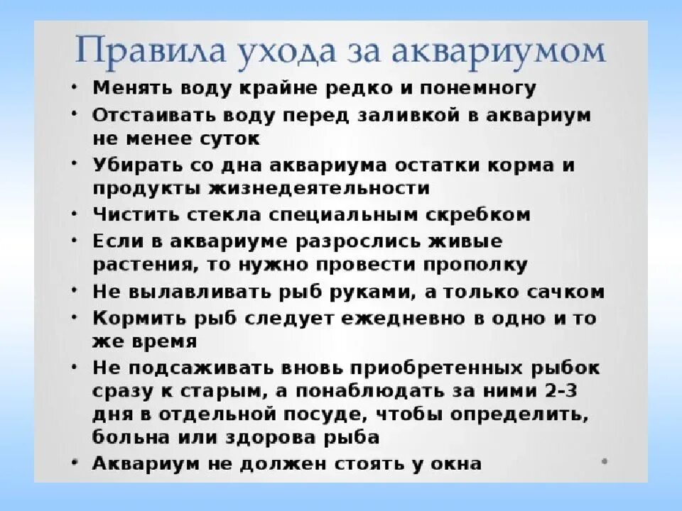 Как ухаживать за аквариумными. Памятка по уходу за рыбками. Правила ухода за аквариумом. Инструкция как ухаживать за рыбами в аквариуме. Памятка по уходу за аквариумом.