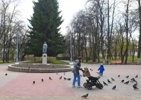 Сколько парков в курске