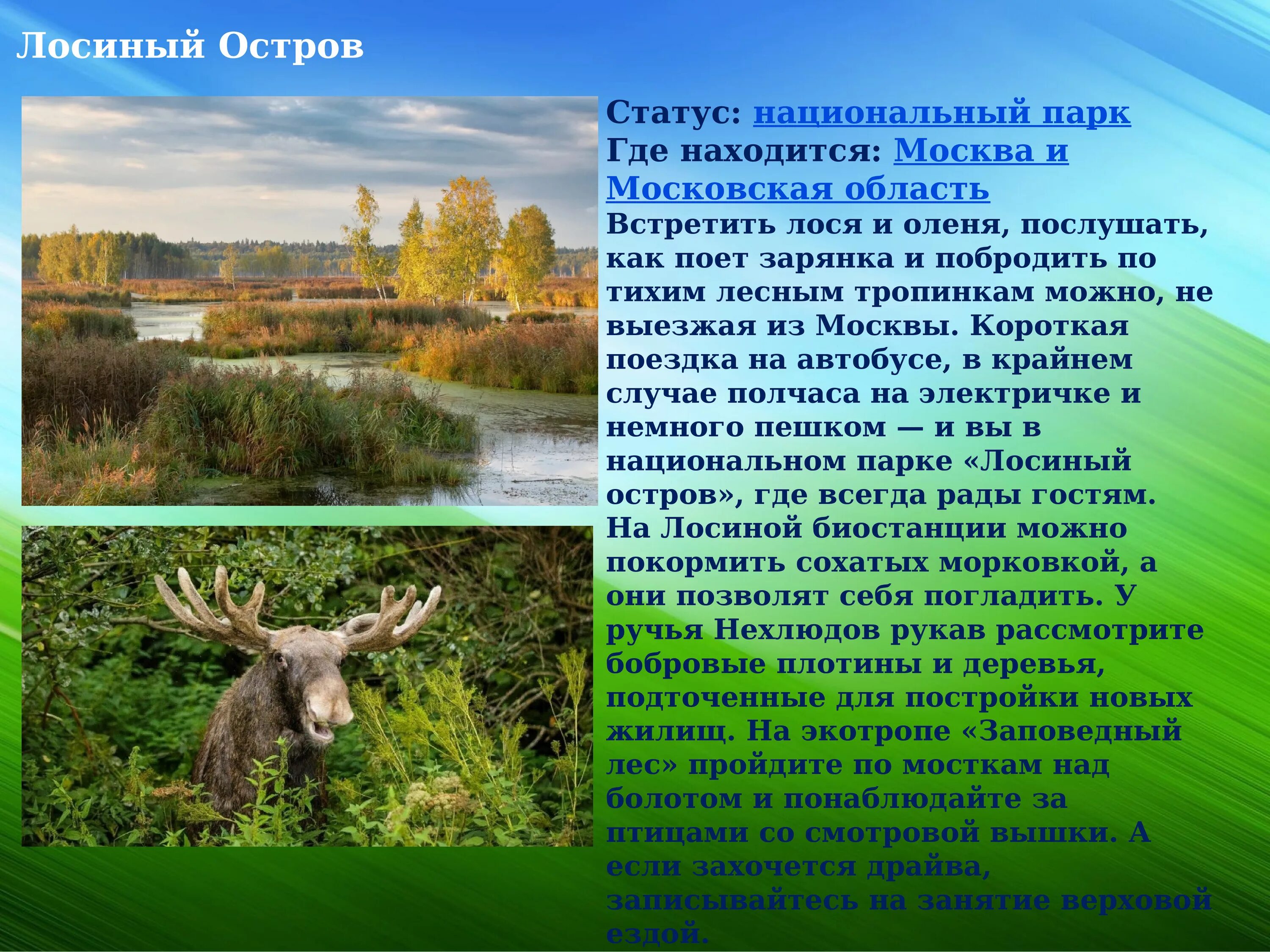 В какой природной зоне живет лось. Национальный заповедник Лосиный остров. Проект национальные парки Лосиный остров. Лосиный остров национальный парк заповедник. Заповедники Москвы национальные парк Лосиный остров.