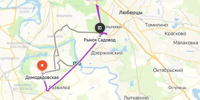 Садовод рынок как доехать на общественном транспорте. Метро до садовода. Маршрутка с Домодедово до садовода. Садовод Домодедовская. Метро Домодедовская рынок Садовод.