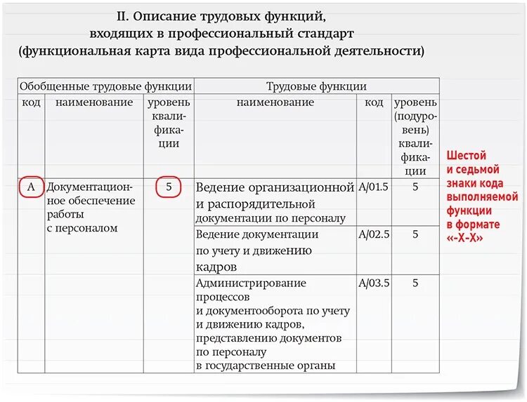 Код сзв тд сторож. Код выполняемой функции. Код трудовой функции. Код трудовой функции директор. Код трудовой функции продавец.