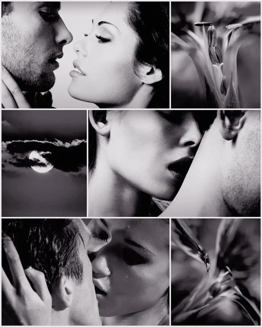 Анна владимирова книги. Все книги одержимость анамтасич шер. Ульяна соболева автор. Одержимость зверя анна владимировна. Одержимость книга.