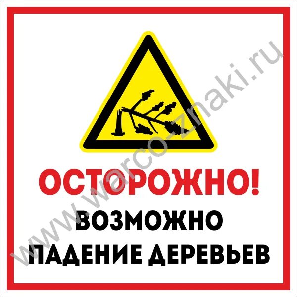 Осторожно дерева. Осторожно дерева. Знаки опасности. Осторожно дерева. Берегите деревья.