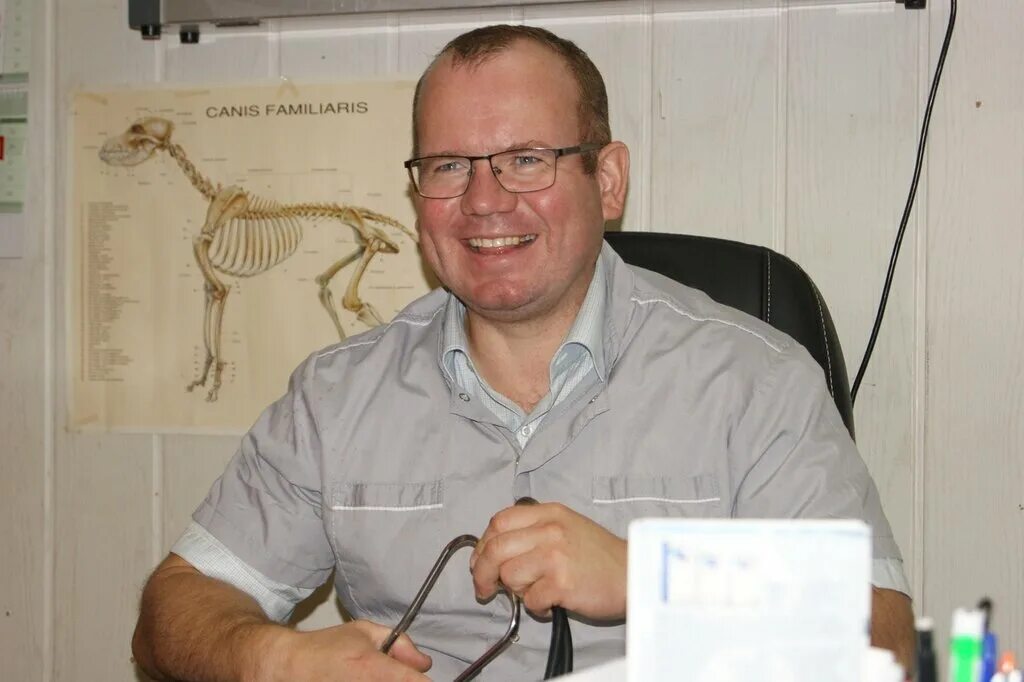 ветклиника друг череповец. звягельский герман александрович ветеринар. ветеринары клиники чемпион череповец. ветеринарная клиника друг тольятти. кравченко ветеринар череповец.