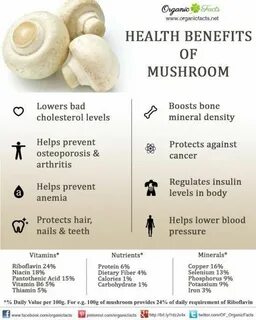 Уровень mushroom