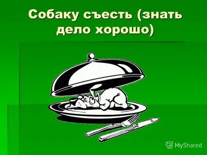 Была дела знаю
