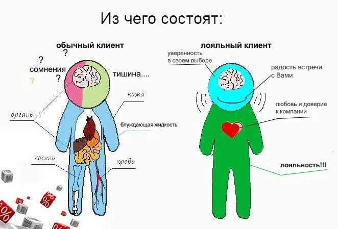 из чего состоит пыль. из чего состоит сигарета сигарета. строение раковины моллюсков 3 слоя. из чего состоит бизнес план структура. состав оконного стекла.