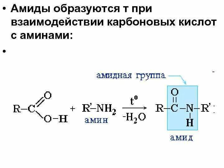 Образование амидов из карбоновых кислот механизм. Амины взаимодействие с карбоновыми кислотами. Реакция карбоновых кислот с аминами. Амиды образуются при взаимодействии Аминов с.