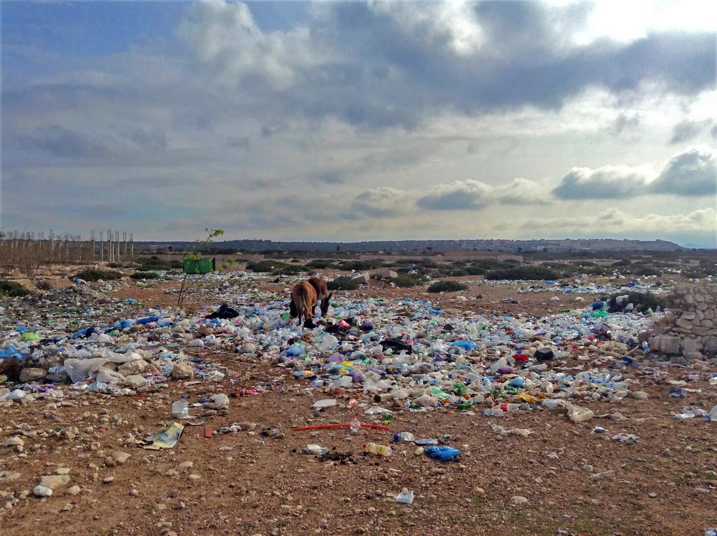 основные экологические проблемы марокко