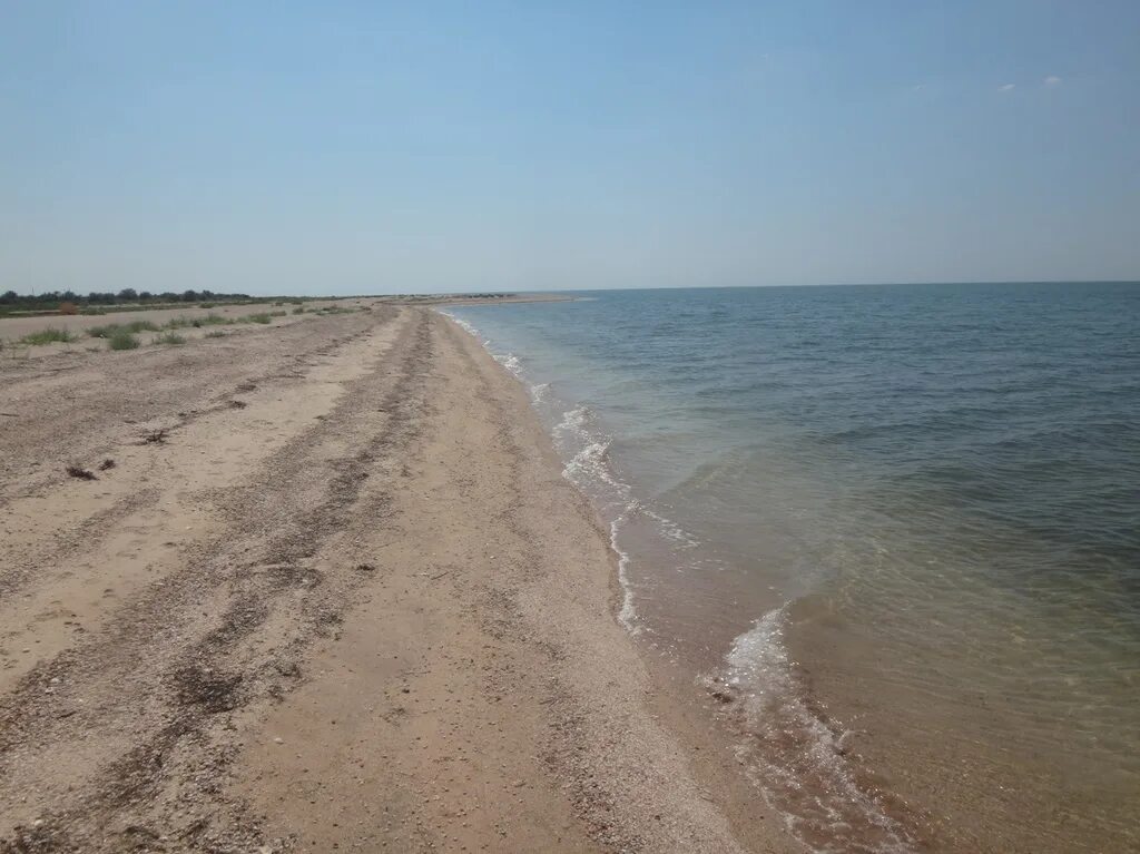 Беглицкая коса Азовское море. Азовское море Камышеватская. Беглицкая коса море Беглицкая Азовское. Коса Камышеватская Азовское море. Станица камышеватская краснодарский край