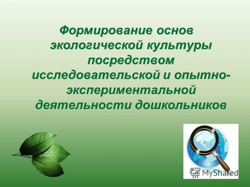 формирование экологической культуры посредством. формирование экологической культуры. этапы формирования экологической культуры. формирование экологической культуры дошкольников. компоненты экологической культуры дошкольников.
