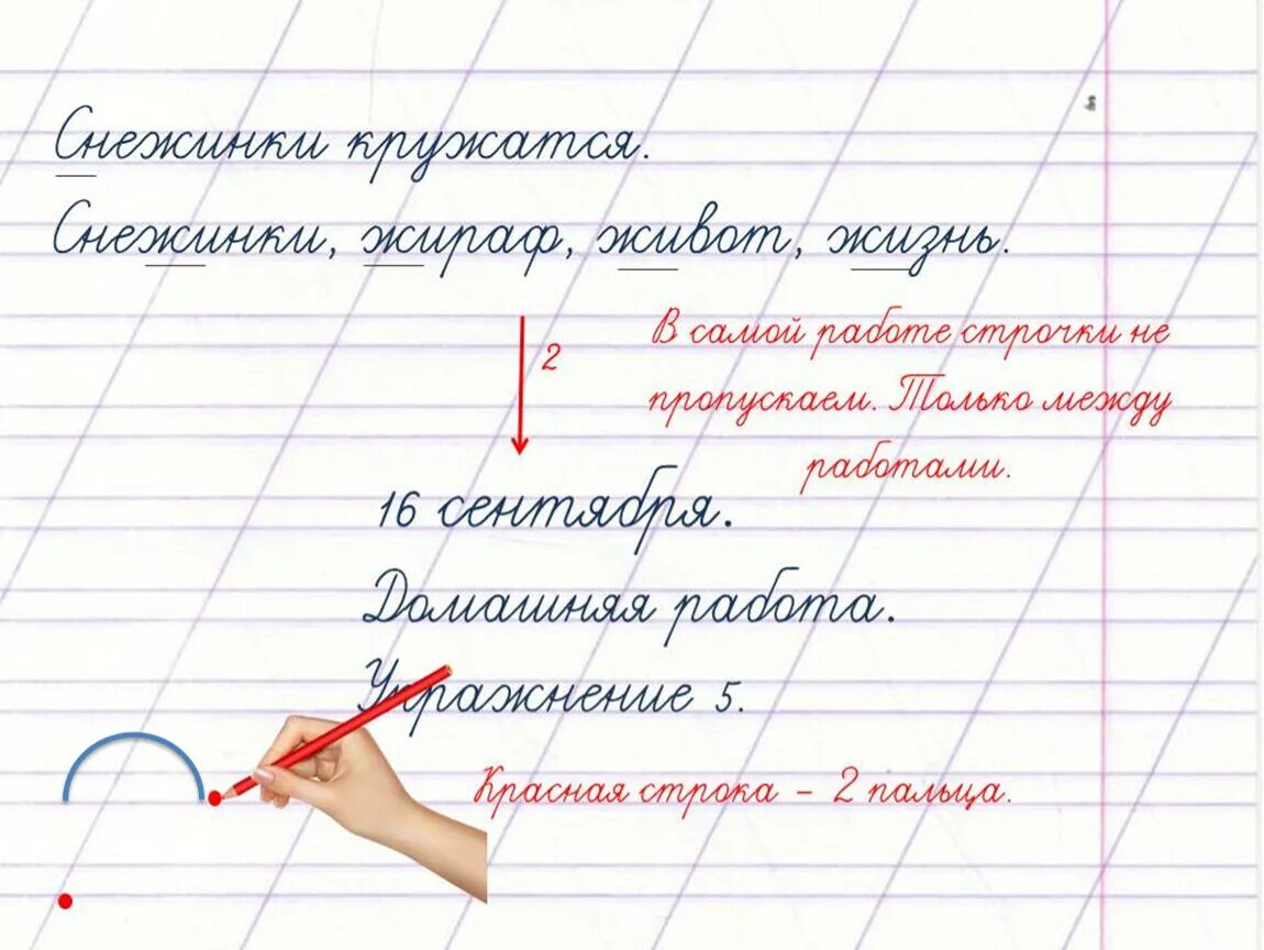 Ведение тетради по русскому. Орфографический режим в начальной школе. Оформление работ по русскому языку. Орфографический режим ведения тетрадей в начальной школе. Оформление работы по русскому языку в начальной школе.