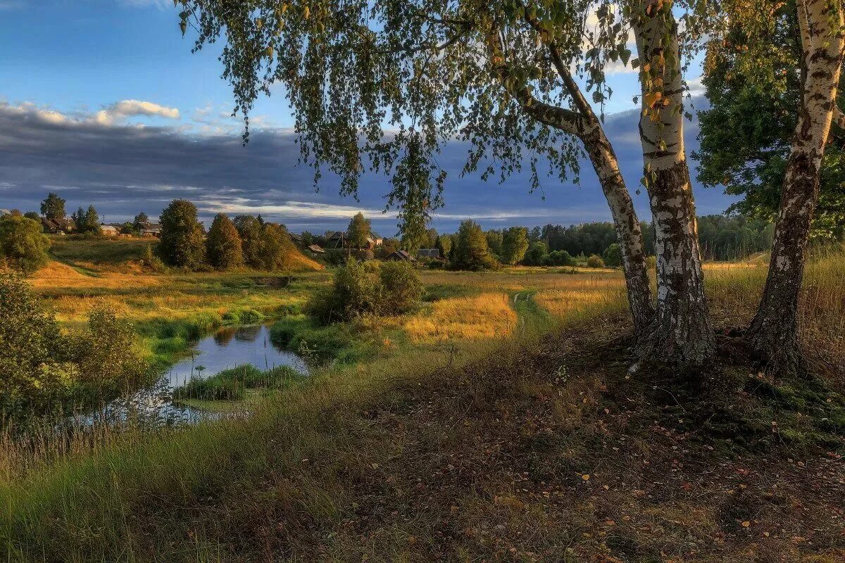 Российские просторы березы Есенин. Фотопейзажи Владимира Рябкова. Природа деревня речка Березки. Родные просторы природа родного села. Картинка родная природа