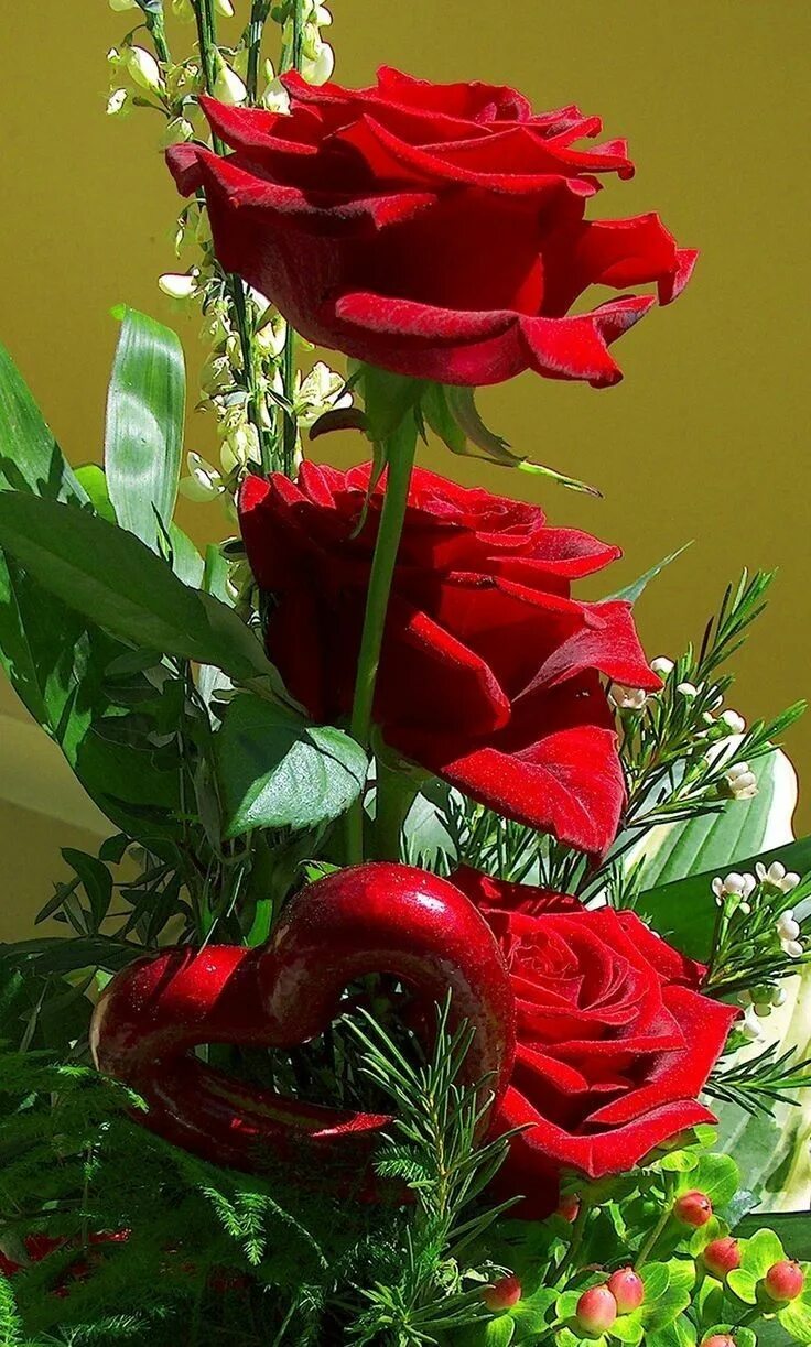 Цветочки для любимой. Красивый букет роз. Открытки с розами. Букет роз для хорошего настроения. Красное добро