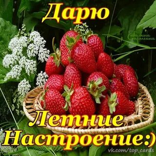 Хорошего тебе лета