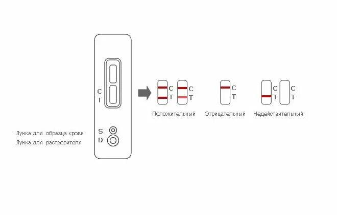 Инструкция экспресс теста на вич. Экспресс тест ВИЧ 1/2 положительный. Результат экспресс теста на ВИЧ 1/2. Экспресс тест на ВИЧ отрицательный результат. Экспресс тест на ВИЧ интерпретация результатов.