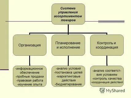 Система управления ассортиментом товаров