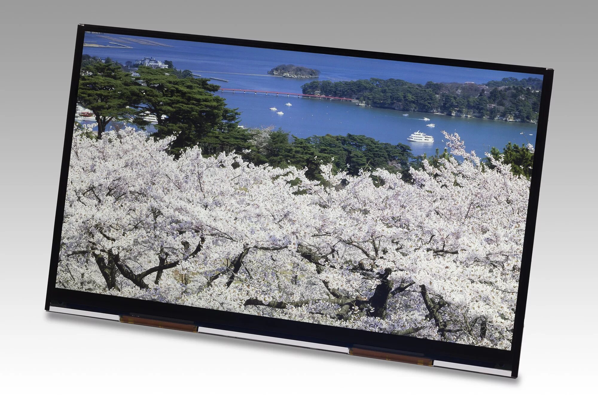 Lcd 10 ips