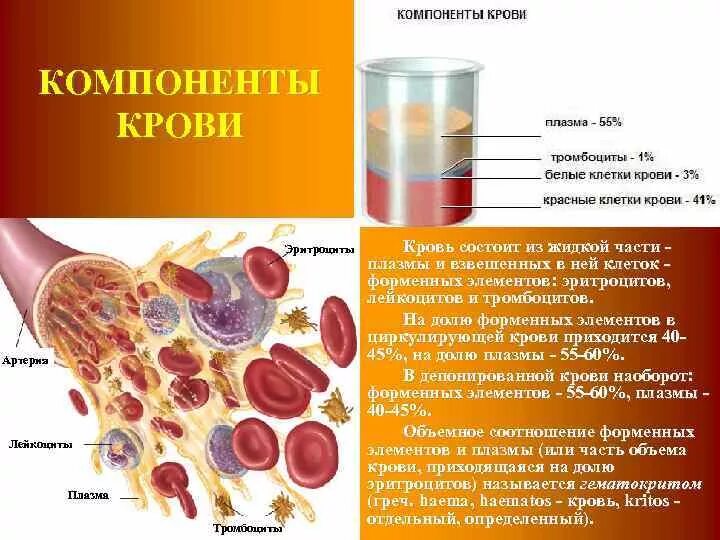 Объем жидкой части крови. Компонент крови плазма строение. Составные компоненты плазмы крови. Компоненты крови схема. Назовите основные компоненты крови.