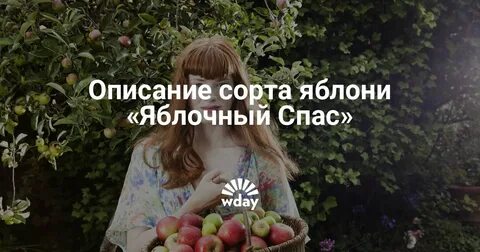 Спасенная описание
