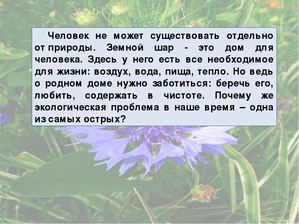 Почему существует природа. Сочинение на тему природа. эссе на тему человек и природа. сочинение на тему человек и природа. мини сочинение на тему человек и природа.