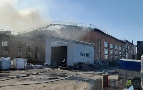 Бердск фабрика