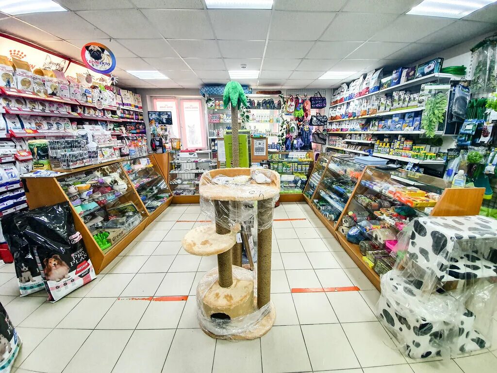 два зоомагазин. зоомагазин. 2 кота зоомагазин ростов. два зоомагазин. два зоомагазин.