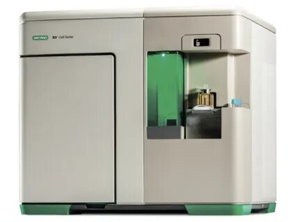 Bio e