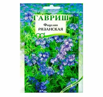 Фацелия семена когда сеять