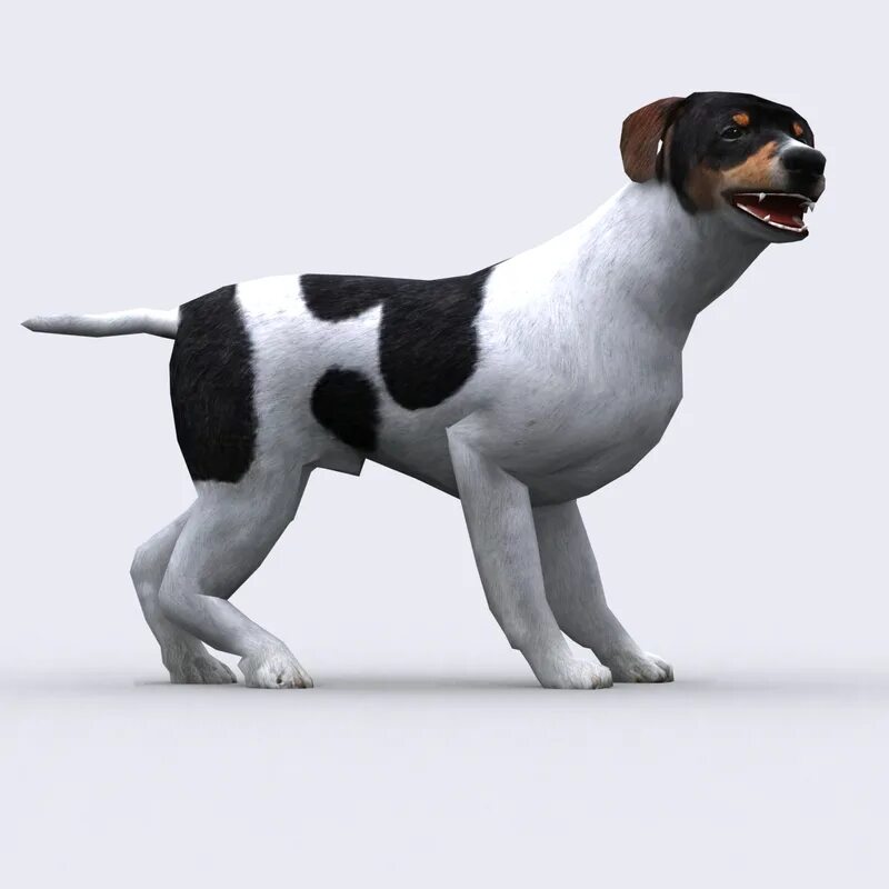 3ds Max Dog. Собака 3d. Моделька собаки. Собака 3д модель.