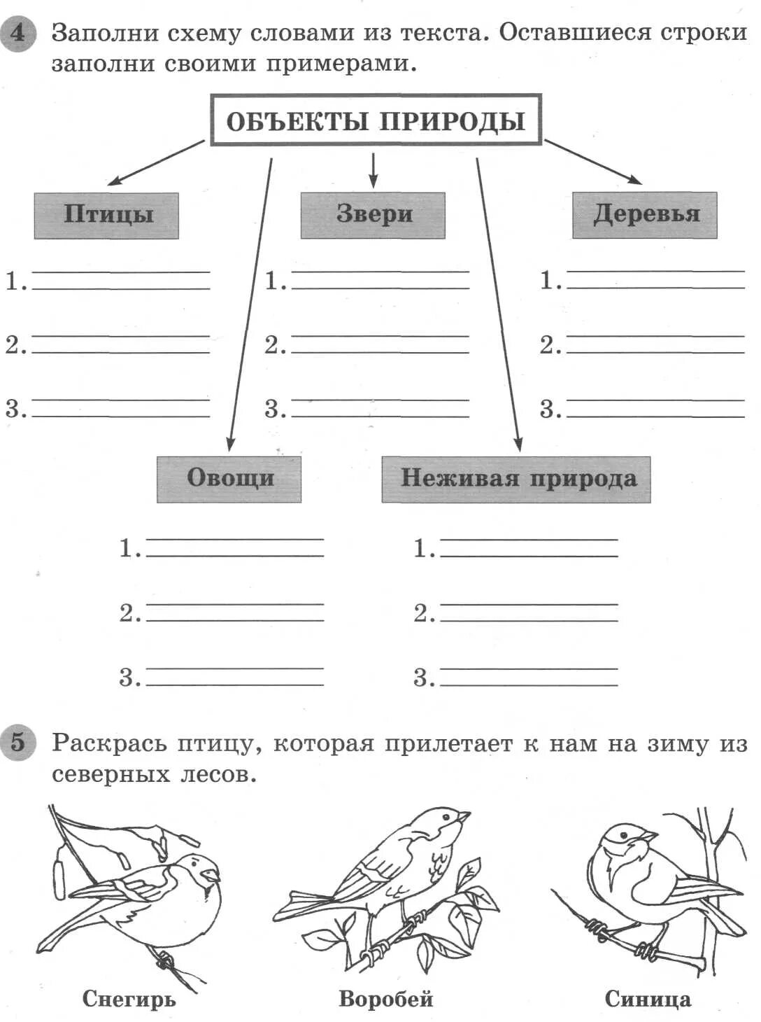 Примерная комплексная работа 1 класс. Комплексные задания для 1 класса. Комплексная работа задания. Комплексная контрольная для первого класса. Комплексная работа 3 класс 2023 год