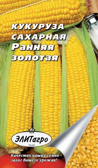 Кукуруза сорта для сибири. Сахарная кукуруза ответ. Кукуруза купидон. Кукуруза ранняя лакомка 121. Сахарная кукуруза.