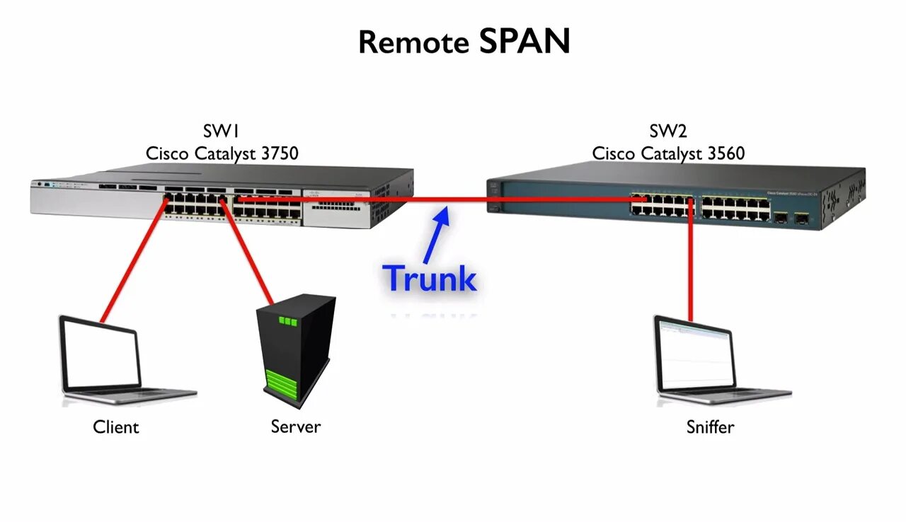 Циска роутер оптический терминал. RSPAN Cisco. Маршрутизатор Cisco. Span порт коммутатора что это.