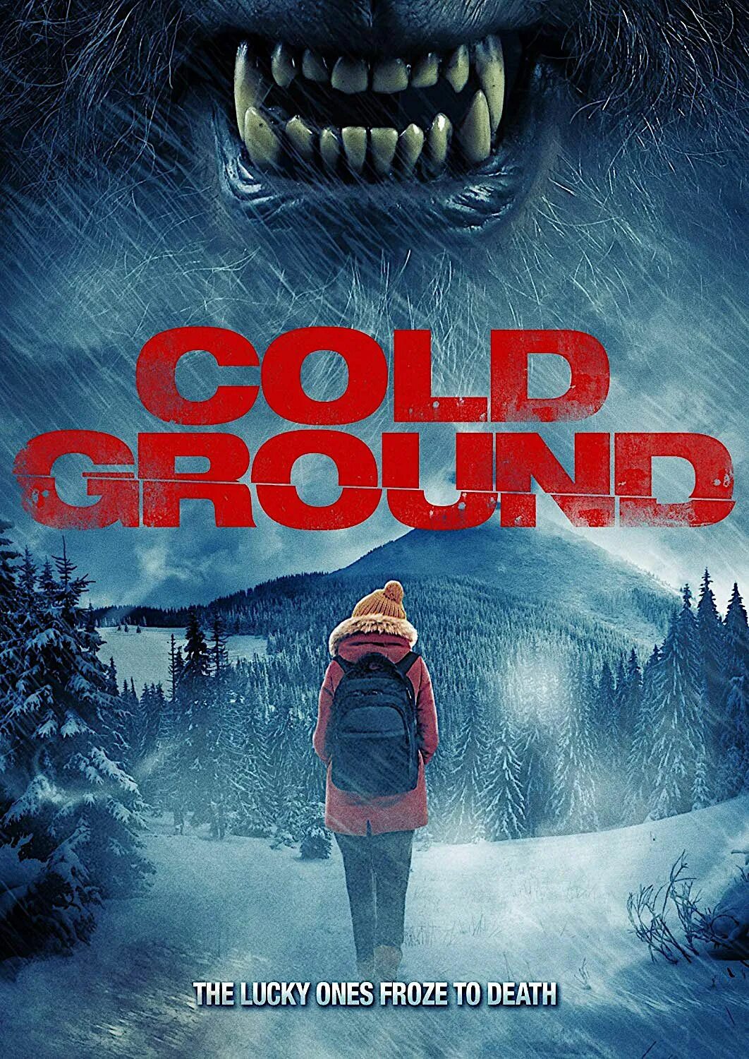 Фотоальбома ласт ван. Холодные земли (cold grounds). Cold cold ground. Cold industry band. Холодная земля фильм 2017.