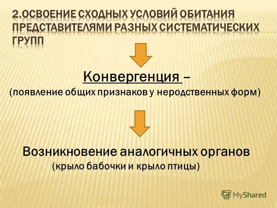 Угол конвергенции. Закономерности эволюции. Юридическая конвергенция. Конвергенция снижена. Чем определяется расхождение признаков у родственных групп