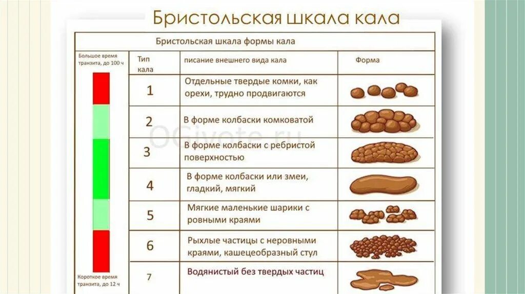 Бристольская шкала формы кала. Тип 6 кала Бристольской шкале. Бристольская шкала формы стула. Бристольская шкала формы кала pdf. Шкала кала по бристольской шкале