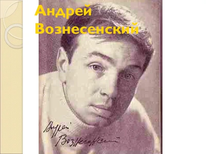 Писатели 60 годов. Ахмадулина Евтушенко Вознесенский Рождественский. Писатели шестидесятники. Писатели шестидесятники 20 века.