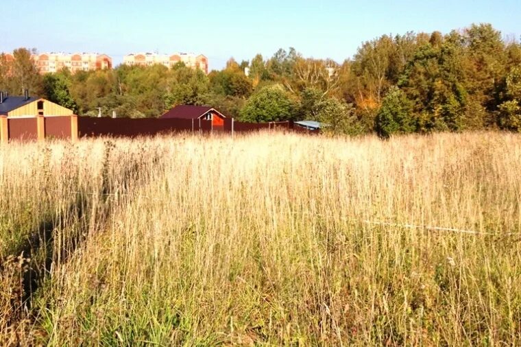 Савельево московская область. Савельево московская область. Савельево московская область. Савельево московская область 6 соток волоколамск. Савельево московская область.