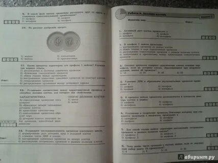Проверочная работа по биологии 8 класс 2024