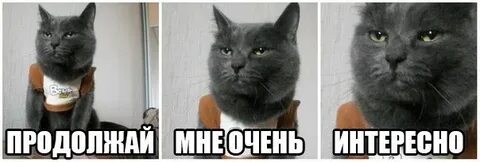 Очень интересно кто же