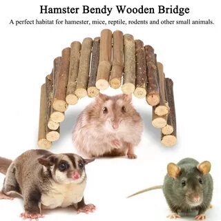 ...Similar Sized Pets Hiding Playing Bendable Mini Wooden Pet Arch Bridge f...