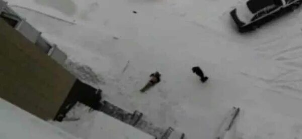 Выпал из окна новосибирск сегодня. Ребёнок выпал из окна новосибирск. Выпали из окна новосибирск. Ребенок выпал из окна новосибирск. Ребенок выпал из окна новосибирск.