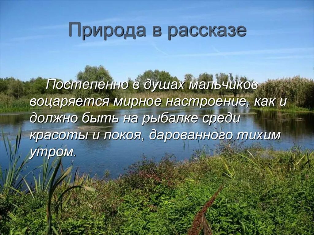 Рассказы о природе. Рассказ о красоте природы. Расскажите о природе. Маленький рассказ о природе.