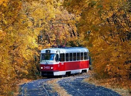 Транспорт осень