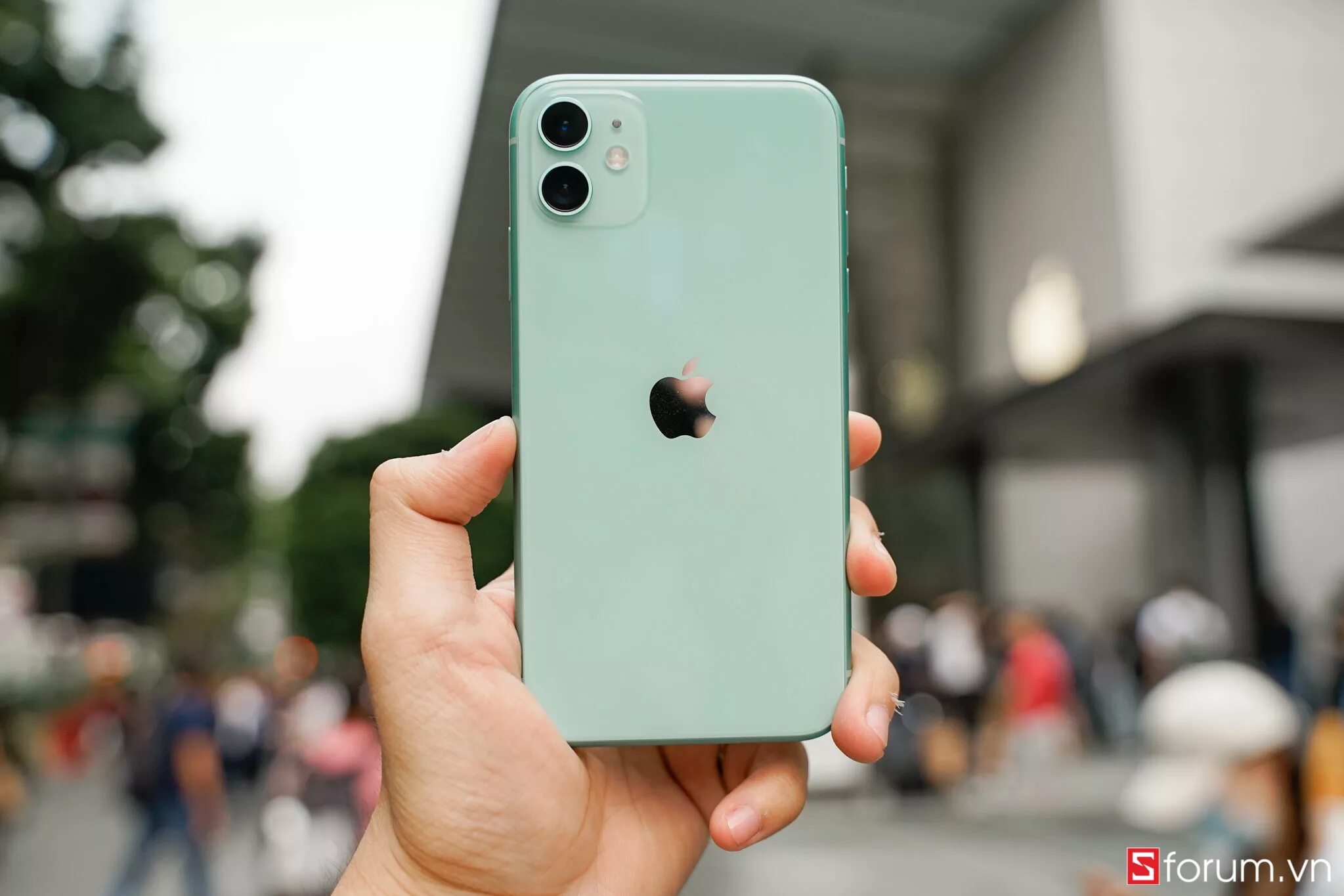 Проблемы 11 айфона. Apple iphone 12 Mini Green. Iphone 11 Pro зеленый. Iphone 11. Айфон 11 зелёный 128 ГБ.