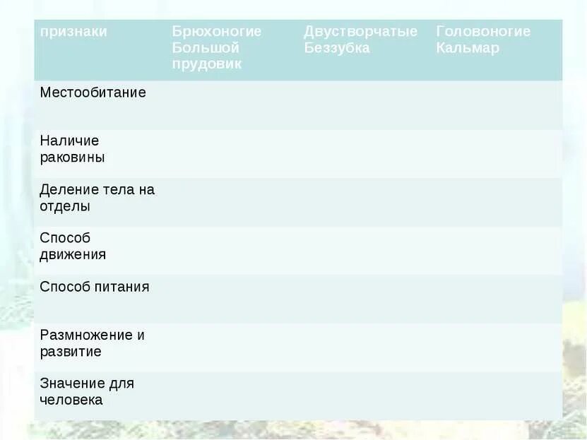 Карапакс черепахи строение. Строение панциря красноухой черепахи. Строение панциря красноухой черепахи. Наличие панциря признака. Наличие панциря признака.