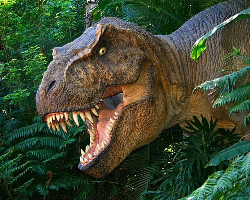 Тираннозавр парк Юрского периода. Королевский Тираннозавр. Тираннозавр рекс 2022. Тираннозавр Фредди.