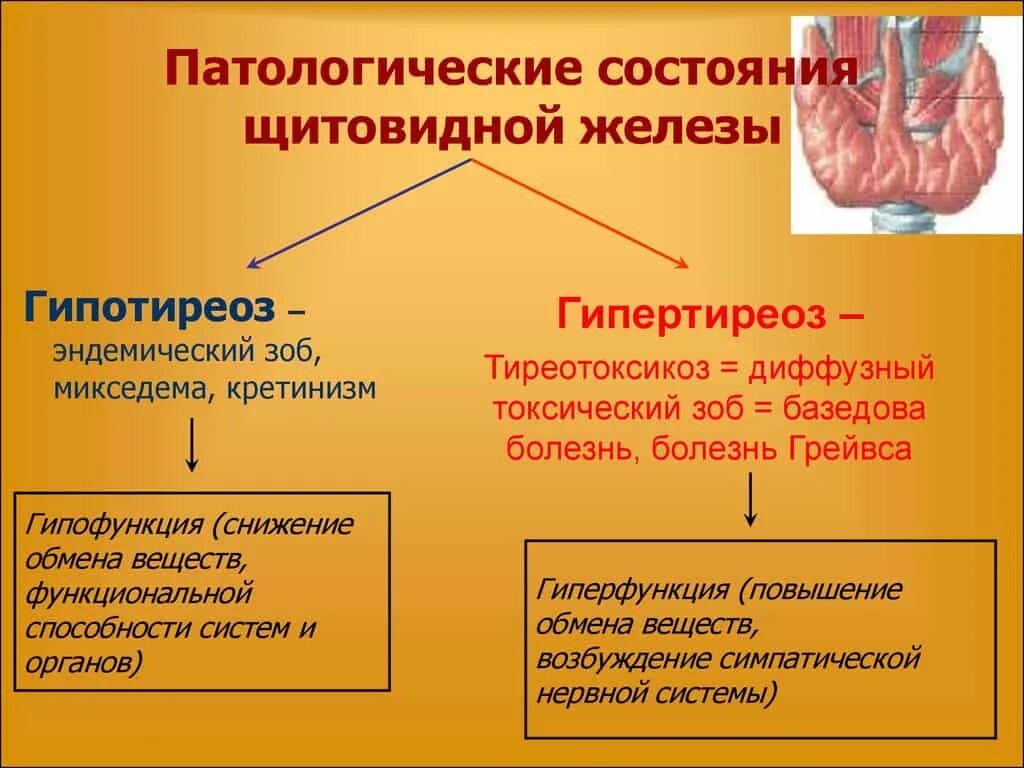 Патологические изменения в организме