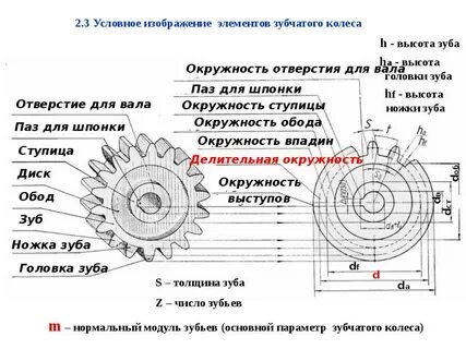 Зубчатое колесо название