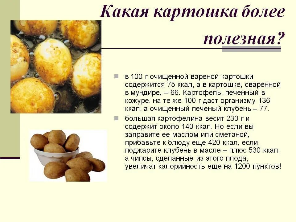 Какой химический картофеля. Энергетическая ценность картофеля отварного. Картошка в мундире калорийность. Полезные вещества в картофеле. Чем полезен картофель.